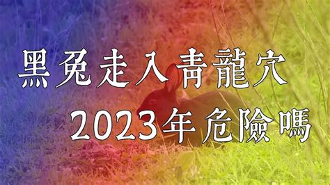 黑兔走進青龍穴|2024青龍年運勢好嗎、黑兔走入青龍穴是什麼意思？6…